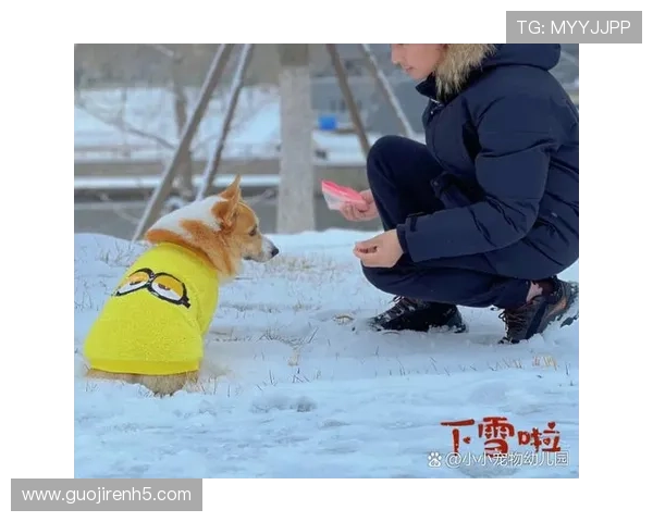 冰雪直播间:银装素裹中的温暖互动时光